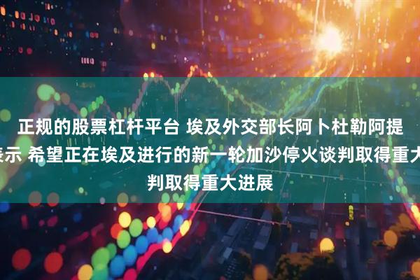 正规的股票杠杆平台 埃及外交部长阿卜杜勒阿提7日表示 希望正在埃及进行的新一轮加沙停火谈判取得重大进展