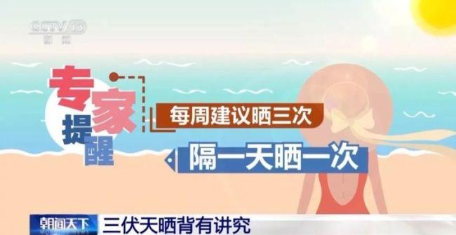 三伏天“网红”养生小心越养越伤 警惕高温误区